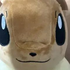 ぬい