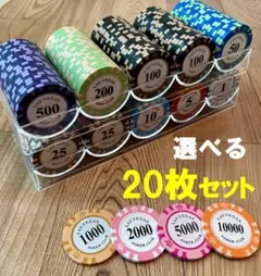 【早い者勝ち】新品 200枚 セット ポーカーチップ カジノチップ ラスベガス 本格 カジノチップ チップ ポーカーチップ ラスベガス 14g 10