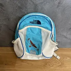 お値下げ　THE NORTH FACE 青白リュック