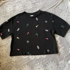 MOUSSY 黒 クロップドTシャツ(値下げ)