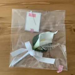 Item thumbnail for item dc81e3fd-b873-4169-a3cc-8846ea0d8f45