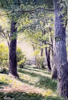 1182☆水彩画原画　森の午後　自然風景　夏の絵 1182☆水彩画原画 森の午後 自然風景 夏の絵 - メルカリ