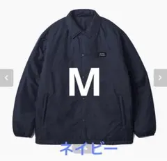 Item thumbnail for item 46094c81-05a5-4f28-8e57-f78bfee817a2