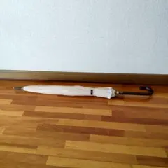 Item thumbnail for item d4095809-0643-46d6-af06-0a95e55e6007