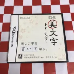 【C19185】DS美文字トレーニング