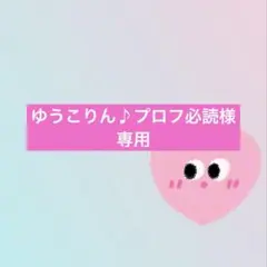 ゆうこりん♪プロフ必読様専用
