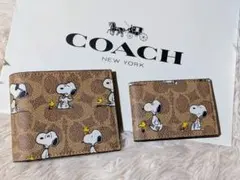 【COACH X PEANUTS】3-IN-1 ウォレット・スヌーピー プリント