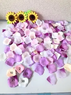 Item thumbnail for item 45079746-ef3a-44c5-8a68-1bad8e0274da