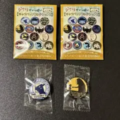 ジブリ 缶バッジ キャラバッジコレクション2 中トトロ カオナシ 千と千尋