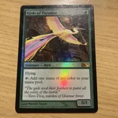 2025年最新】極楽鳥 mtgの人気アイテム - メルカリ