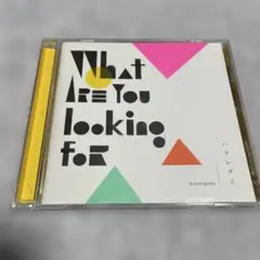 【CD】What Are You Looking For／ハナレグミ