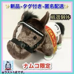 サラブレッドコレクションbig