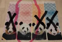 2025年最新】アドベンチャーワールド結浜の人気アイテム - メルカリ