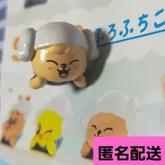 【匿名配送】びっくらたまご SKZOO パピーム