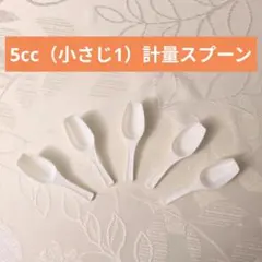 計量スプーン（小さじ1）5本セット