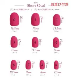 ネイルチップ 測定用 (ショートオーバル) 0～9番