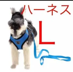 Item thumbnail for item c8675f2b-c7b8-4a3a-8f32-43f196823630