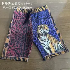 DOLCE&GABBANA ドルチェアンドガッバーナ ジップアップ 虎 44 楽天市場】ヒョウ柄（ブランドドルチェ&ガッバーナ）（メンズ
