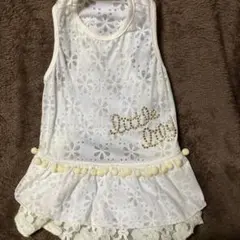 Item thumbnail for item 3661a7e7-5def-4cf4-bb0d-a7eab18427c1