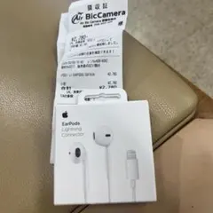 Apple EarPods with Lightning Connector