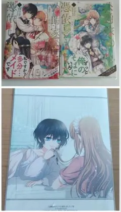 公爵家のメイドに憑依しました セット