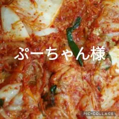 ぷーちゃん様専用です。