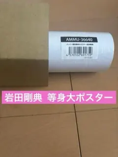 三代目 J SOUL BROTHERS 『ONE』 岩田剛典 等身大ポスター