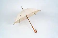 Item thumbnail for item 3347df63-0e68-4c28-847e-3062fe74fe12