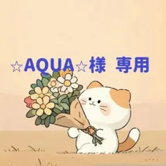 ⭐︎AQUA⭐︎様　専用(10/14迄)