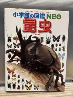 小学校の図鑑NEO 昆虫