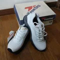 Item thumbnail for item 09079570-c9ca-403a-a07f-edf234c1a5aa