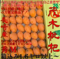 2026年最新】茂木 びわの人気アイテム - メルカリ