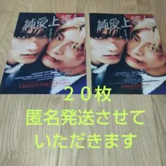匿名発送 映画純愛上等！フライヤー20枚