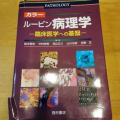 2026年最新】カラー ルービン病理学―臨床医学への基盤の人気アイテム