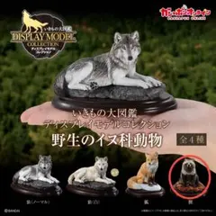 いきもの大図鑑 ディスプレイモデル 狸 フィギュアのサムネイル