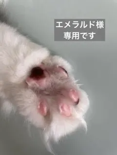 マット赤苺コットンパールピアスイヤリング　714