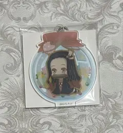 鬼滅の刃 竈門禰豆子