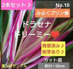 速達！みるくプリン様 リクエスト 2点 まとめ商品