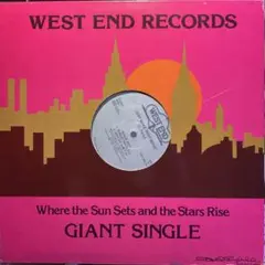 Black Riot　Just Make That Move　ToddTerry