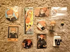 ハイキュー 日向翔陽 11点セット シーパラダイス限定