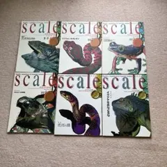 scale スケイル 11冊