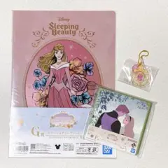 一番くじ　ディズニー　プリンセス　眠れる森の美女　オーロラ姫　F賞　G賞　H賞