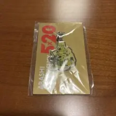 ARASHI AnniversaryTour 5×20 会場限定チャーム　福岡緑