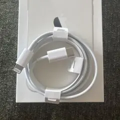 Apple USB-C - Lightningケーブル