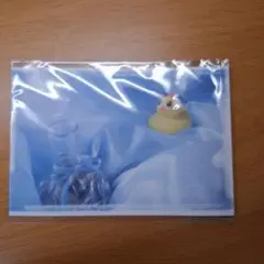 劇場版 美しい彼 エターナル 入場特典 アヒル隊長 ポストカード