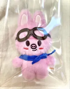 2026年最新】skzoo ぬいぐるみ 10cm トェッキの人気アイテム - メルカリ