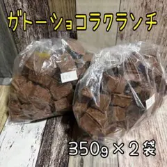 ガトーショコラクランチ 700g アウトレット チョコレート お菓子のサムネイル