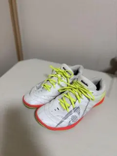 Item thumbnail for item a8f4a591-9a08-48f3-baa5-5afd0fb4585c