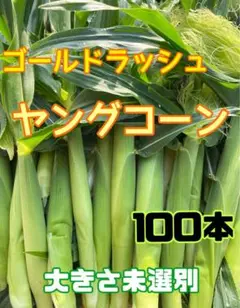 SUGIAYU★クール便送料着払い★葉っぱヒゲ付きヤングコーン200本 SUGIAYU様専用☆クール便送料着払い☆葉っぱヒゲ付きヤングコーン200本
