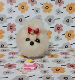 羊毛フェルトと毛糸で仕上げたマルチーズ　　ケーキ付き